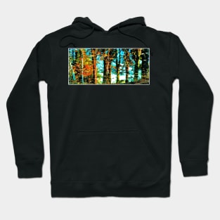 Reflections in a Pond #2 Hoodie